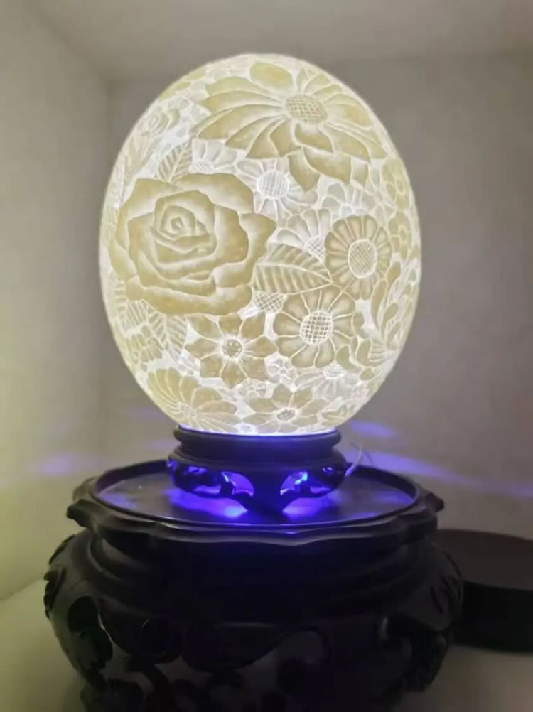 1770953803468338.jpg 微信图片_2026-02-13_112923_832.jpg