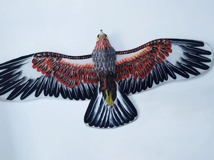 1773988392214713.jpg 微信图片_2026-03-20_142407_579.jpg